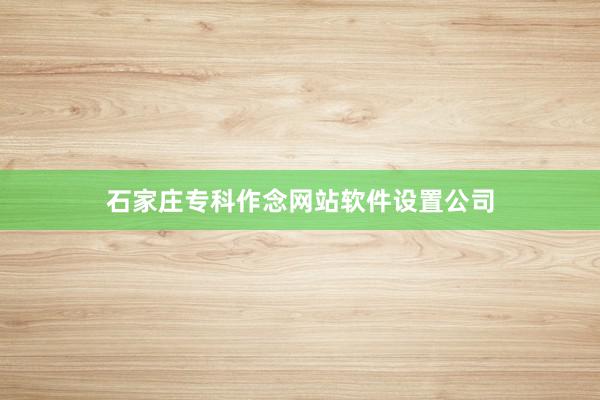 石家庄专科作念网站软件设置公司