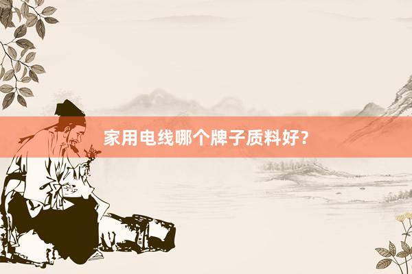 家用电线哪个牌子质料好？